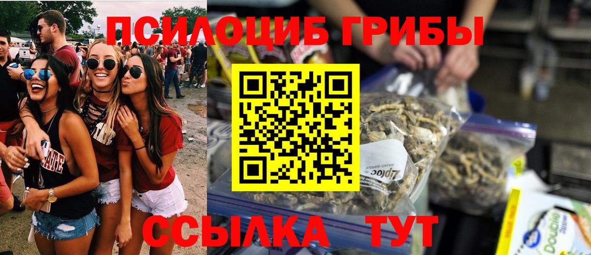 Галлюциногенные грибы мицелий  Псилоцибиновые грибы прущие грибы  Вход с VPN  Шарыпово 