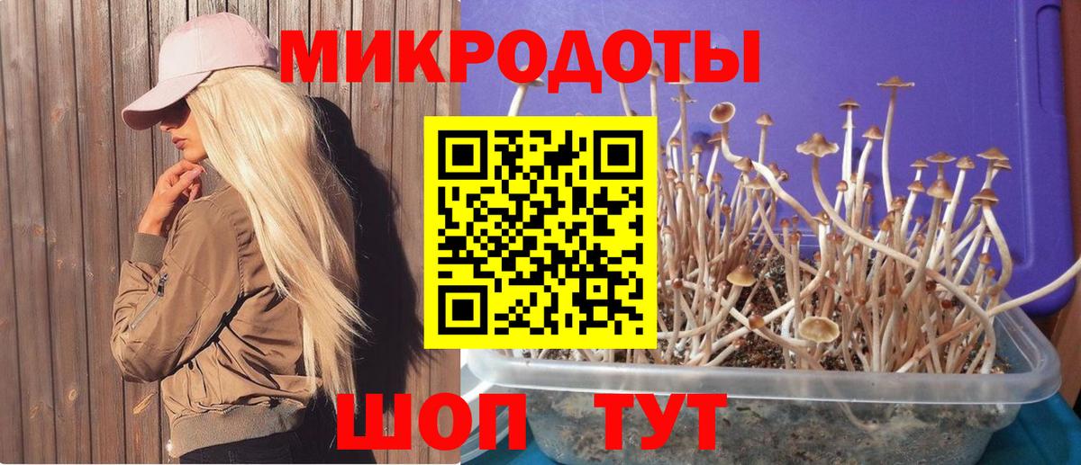 Псилоцибиновые грибы GOLDEN TEACHER Шарыпово